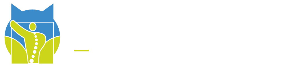 Dr. med. Florian Wolf – Orthopädie & Unfallchirurgie